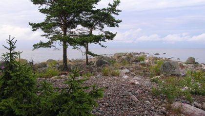 Kävelyretki ”Elävä museo – Vergin niemimaa”