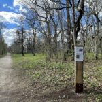 Saksalainen sotilashautausmaa