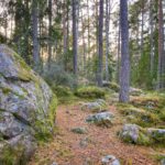Käsmun kivikylvös