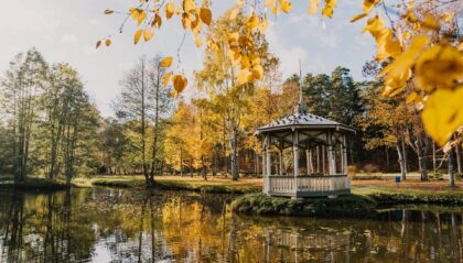 Narva-Jõesuun Hele- (valoisa) puisto