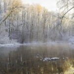 Katkulähde